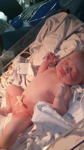 10530713_824645504243343_3379828577026808293_n